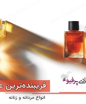 اغوا کننده ترین عطر و ادکلن های زنانه و مردانه