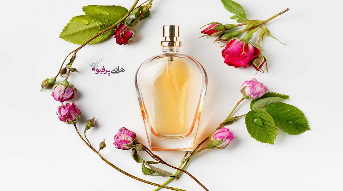 خرید و فروش عطر و ادکلن های زنانه ارزان