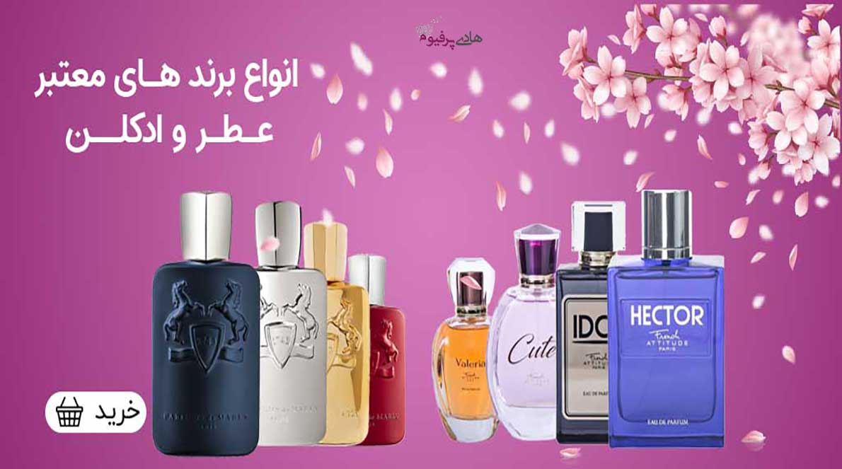 چگونه عطر ادکلن زنانه را با قیمت فروش عمده و ارزان خرید کنیم؟