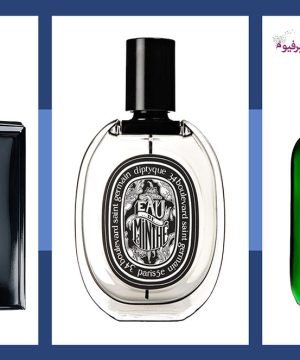 خرید عطر ادکلن ارزان اورجینال زنانه مردانه در فروشگاه عطر ادکلن